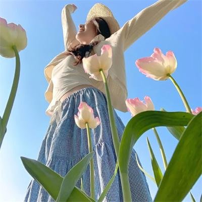 天鹅公主的圣诞
